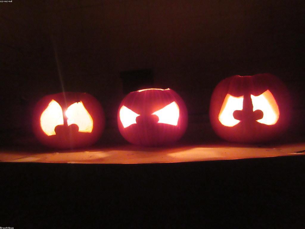 ព័ត៌មានល្អ: ខ្លឹមសារដែលនឹងធ្វើឲ្យអ្នកសប្បាយ