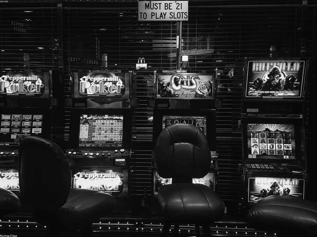 គន្លឹះសម្រាប់អ្នកថ្មីក្នុងការលេងស្លូត