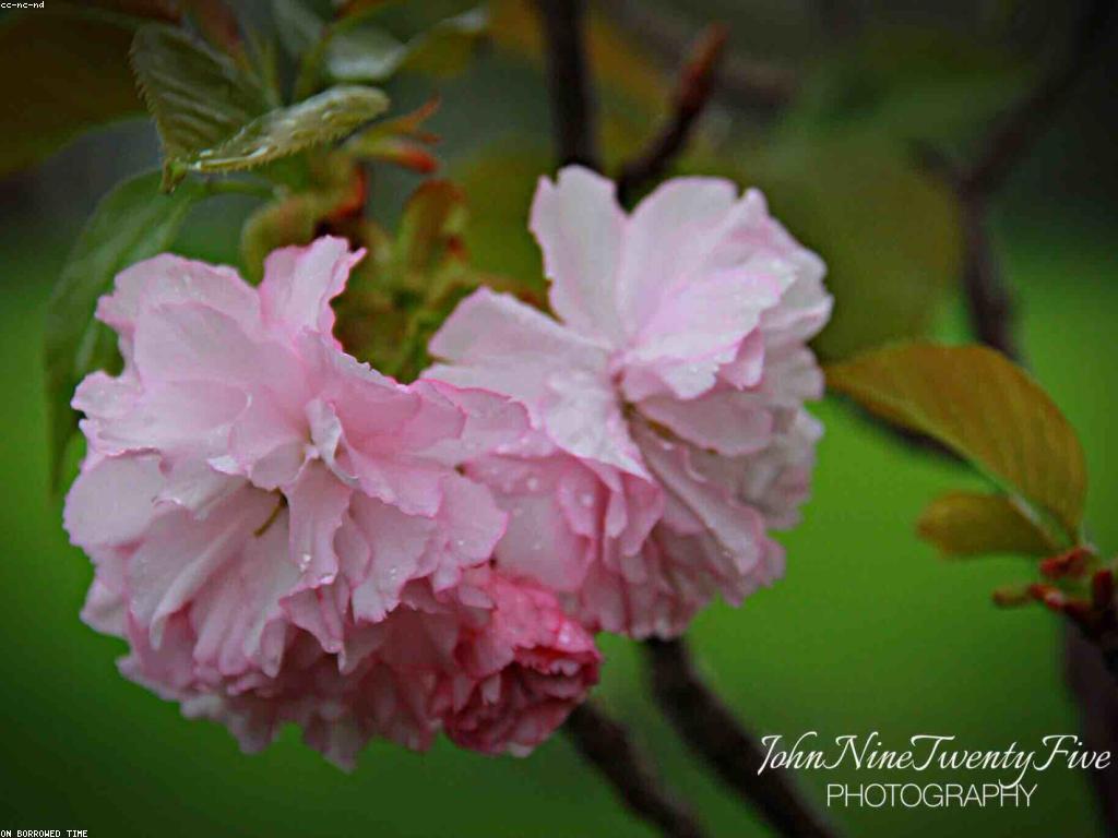 អត្ថប្រយោជន៍នៃព័ត៌មានល្អ