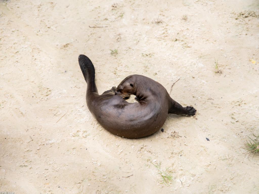 គន្លឹះសម្រាប់អ្នកថ្មី